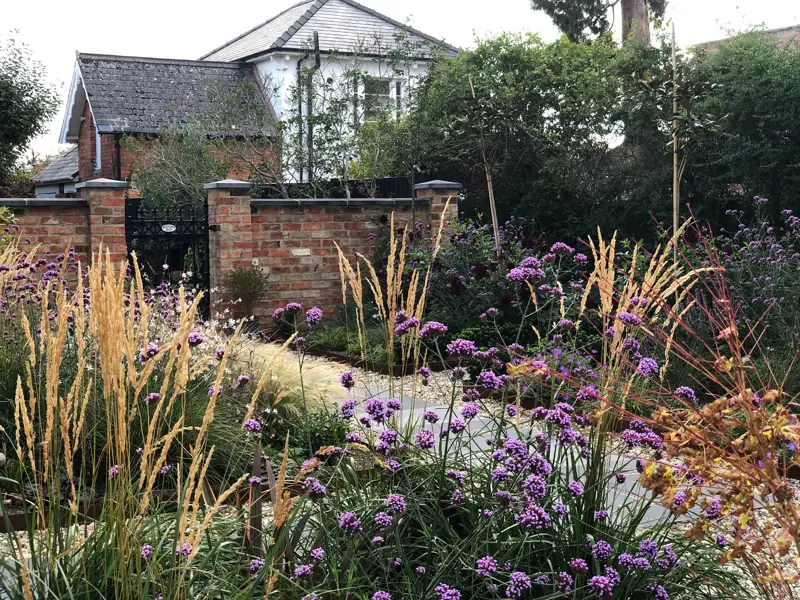Front garden with feather reed grass and purple verbena inside a red brick wall