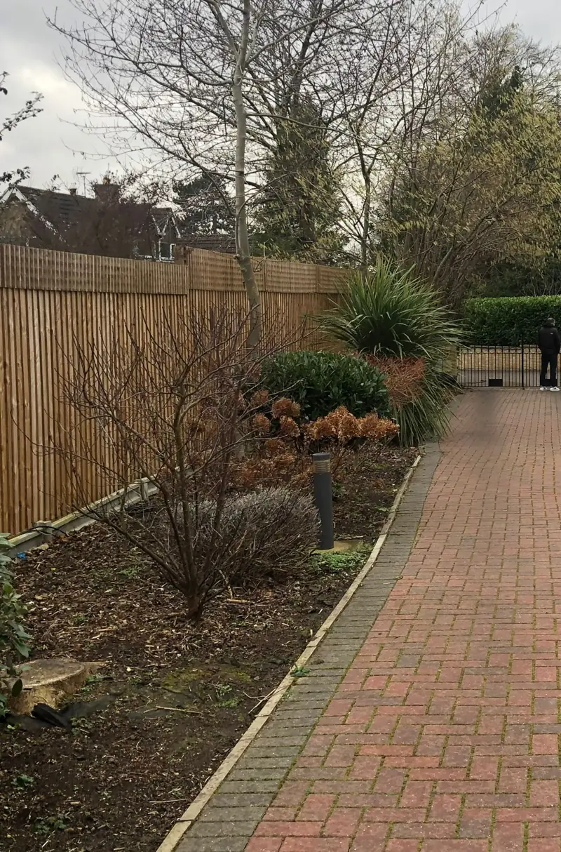 Brick path beside a newly planted border along a timber fence