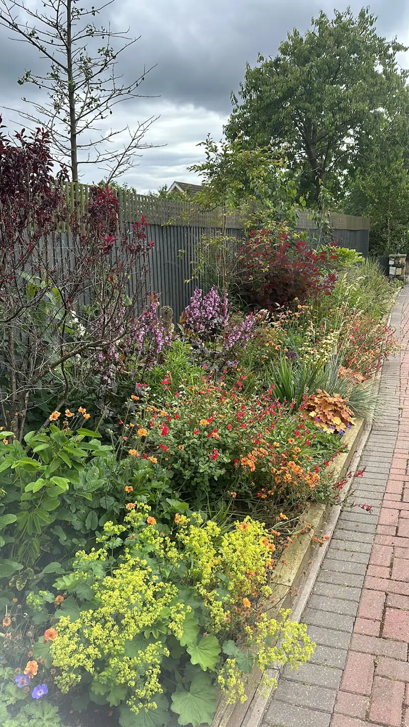Mixed border of shrubs and perennials beside a brick path